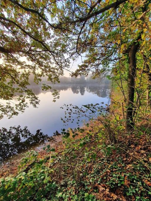 Ferienhaus Blauer See Mit Optionalem Hot-Tub Bockhorn  Exterior foto