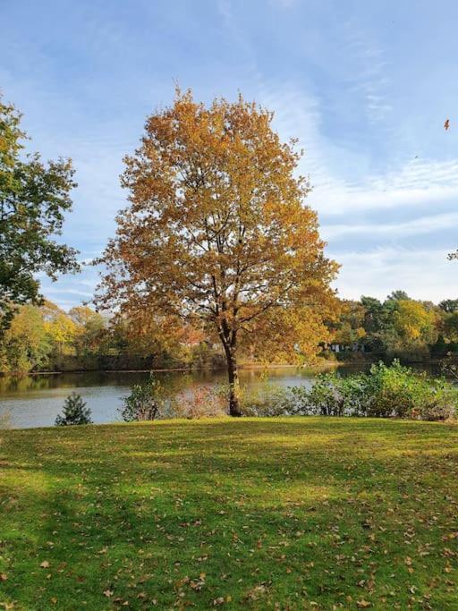 Ferienhaus Blauer See Mit Optionalem Hot-Tub Bockhorn  Exterior foto