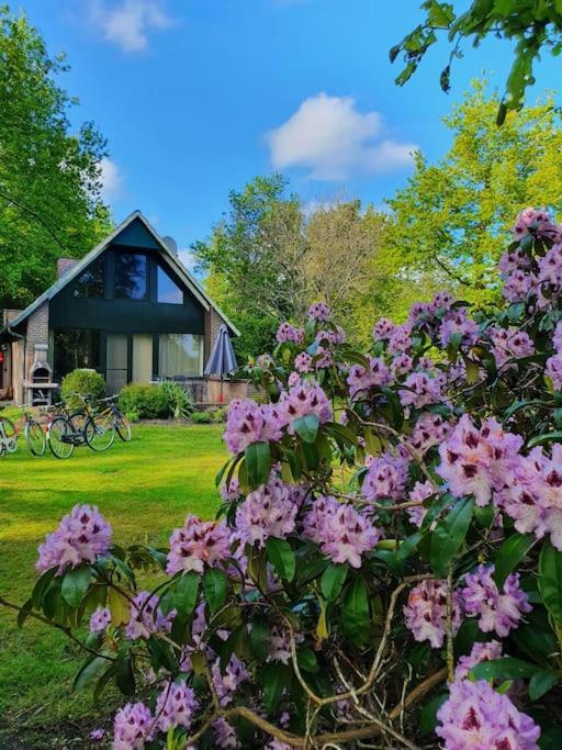 Ferienhaus Blauer See Mit Optionalem Hot-Tub Bockhorn  Exterior foto