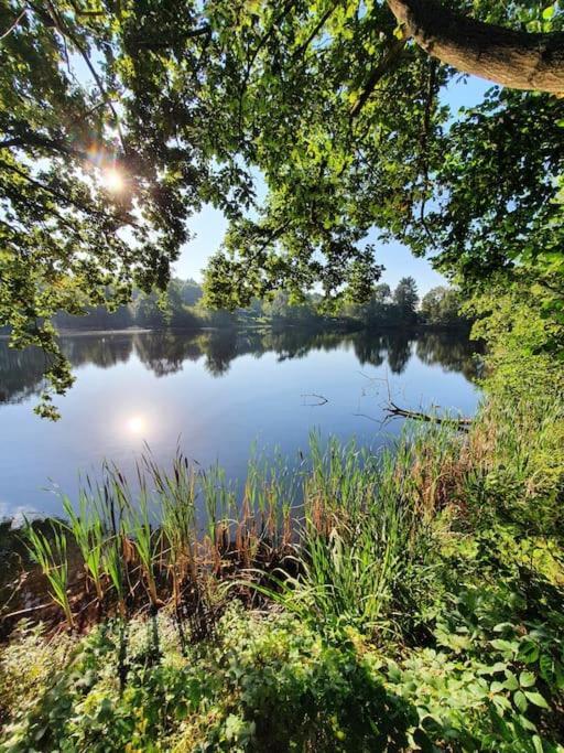 Ferienhaus Blauer See Mit Optionalem Hot-Tub Bockhorn  Exterior foto