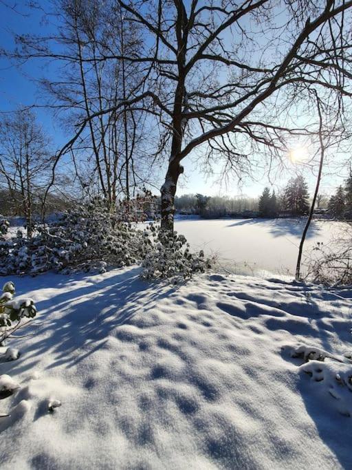 Ferienhaus Blauer See Mit Optionalem Hot-Tub Bockhorn  Exterior foto